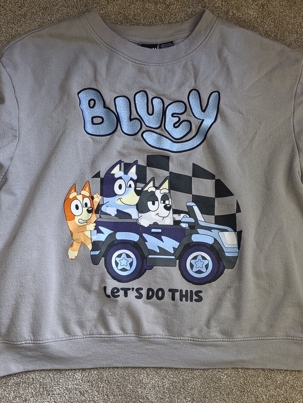 Bluey Graphic Crewneck Sweatshirt - Gray